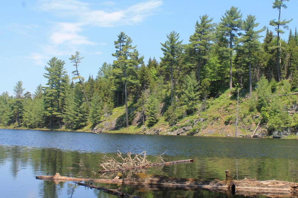 Photo: Lost Ponds
