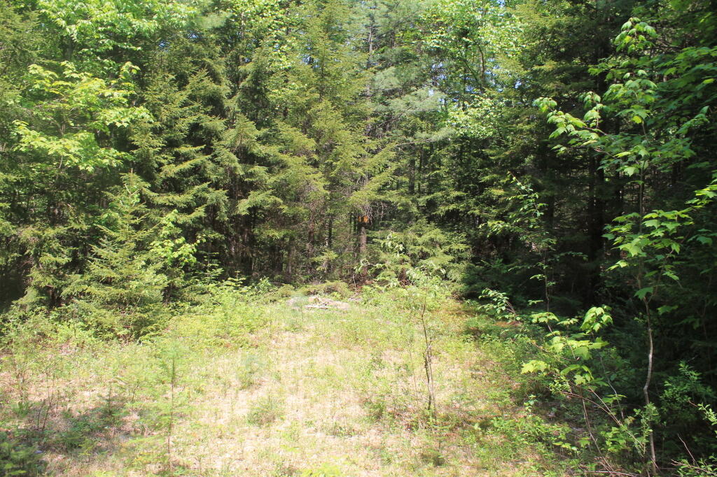 Photo: Former Campsite 46 Photo: Former Campsite 46
