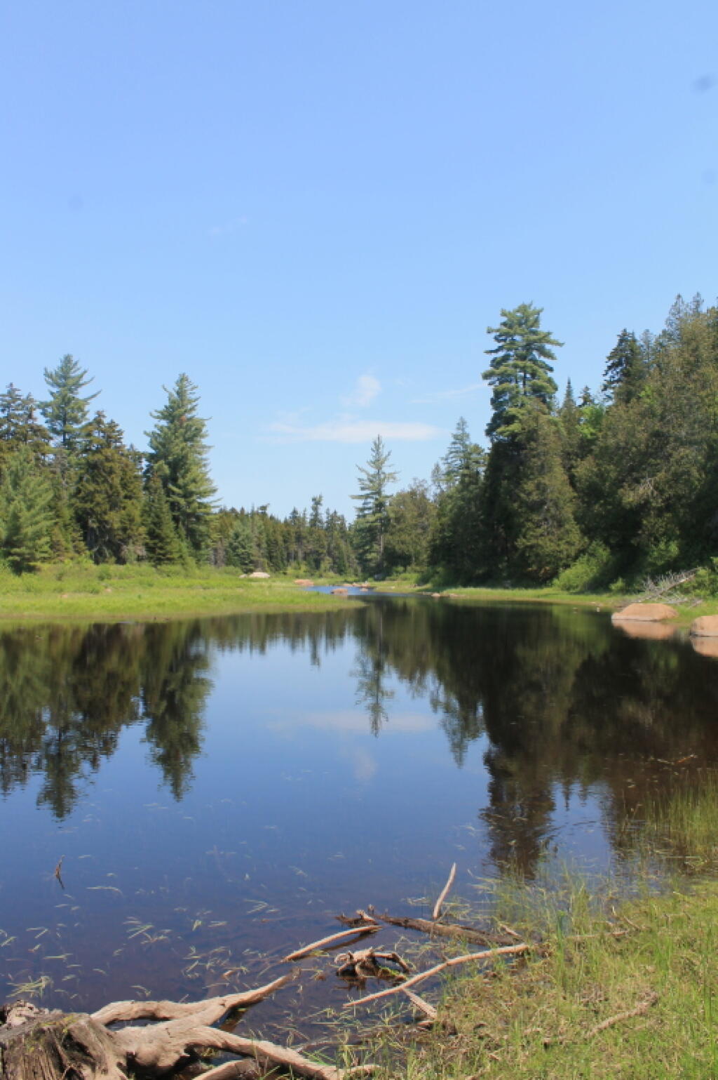 Photo: Flow in Summer Stream