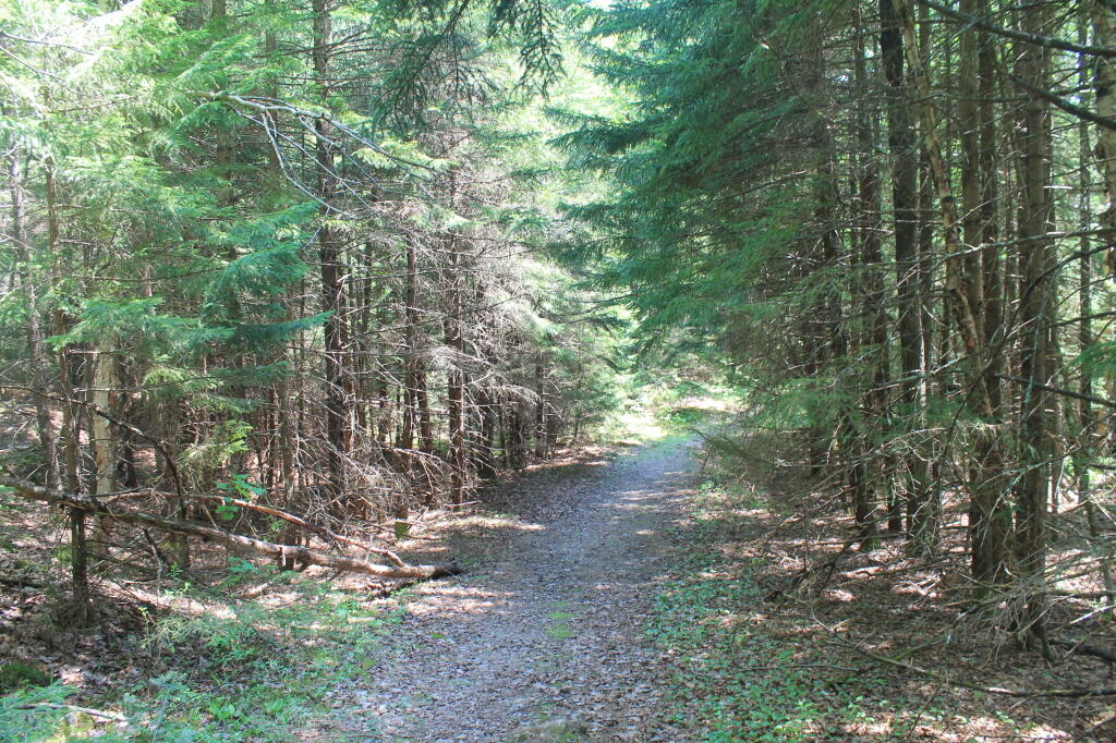 Photo: Former Lost Ponds Road