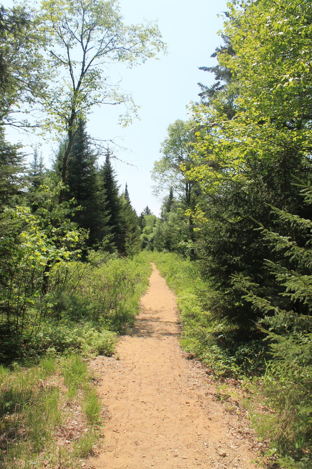 Photo: Lost Ponds Road 3