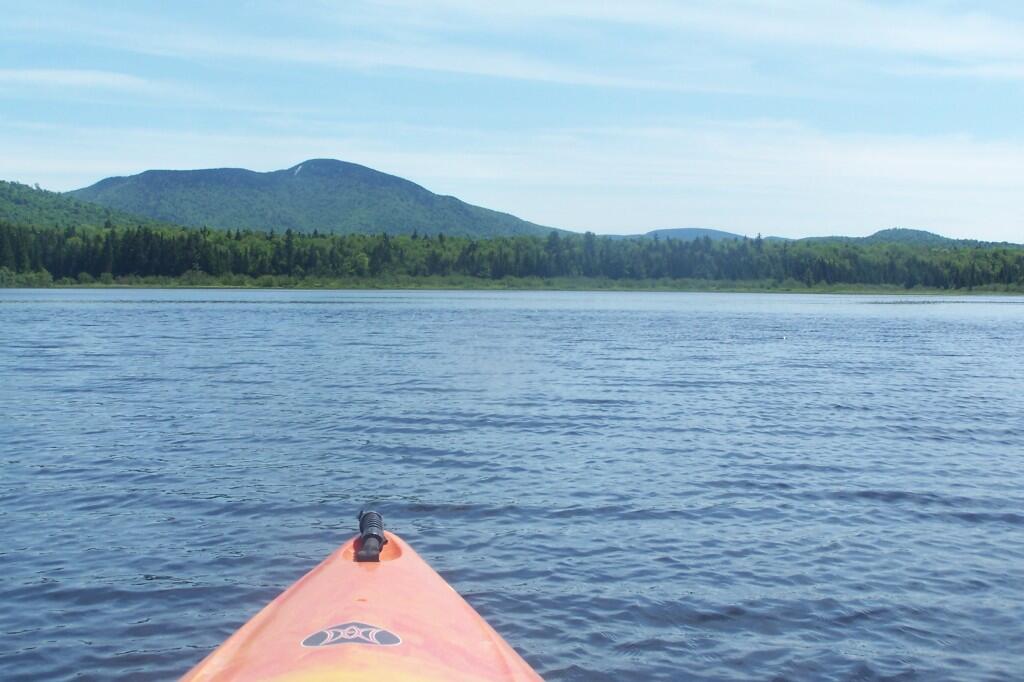 Photo: South on Cedar River Flow
