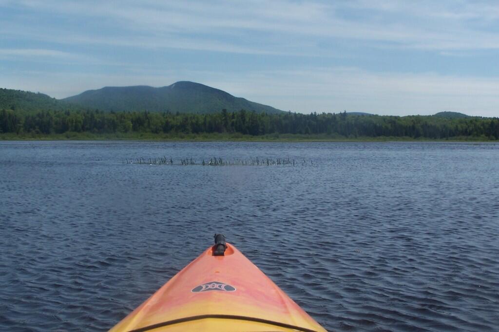 Photo: Marsher Portion of Lake