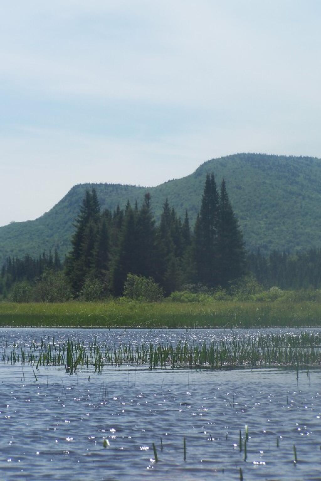 Photo: Sturges Hill 6