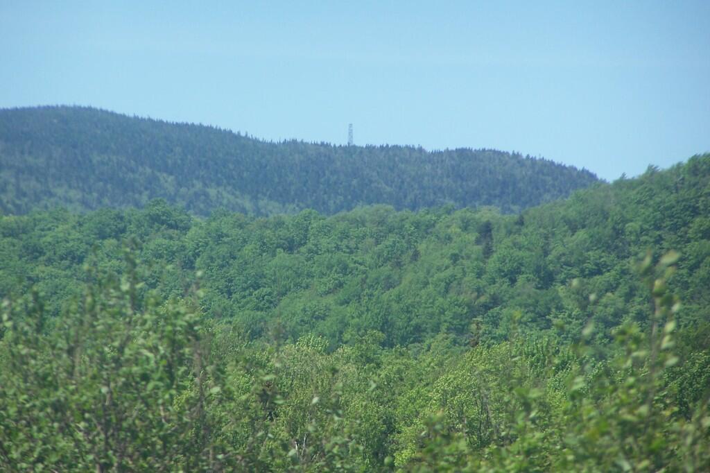 Photo: Wakely Fire Tower Photo: Wakely Fire Tower