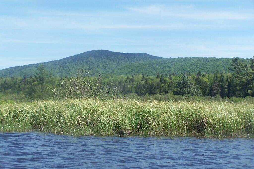 Photo: Along the Channel