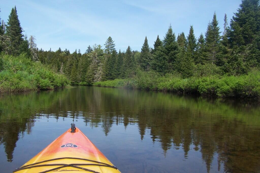 Photo: Along the River Photo: Along the River