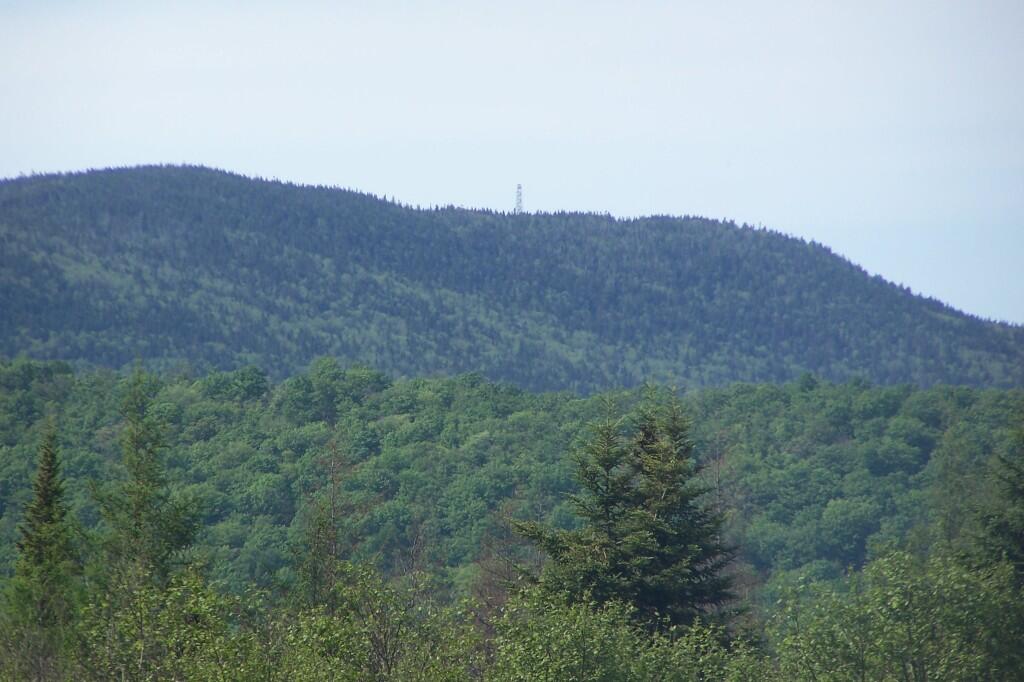 Photo: Wakely Firetower