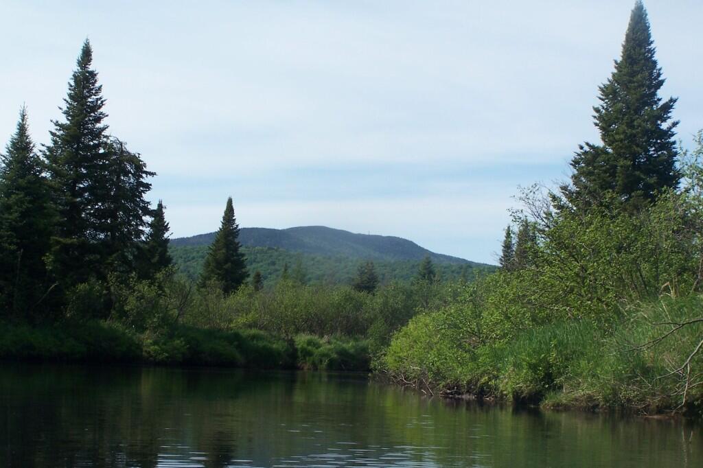 Photo: Cedar River