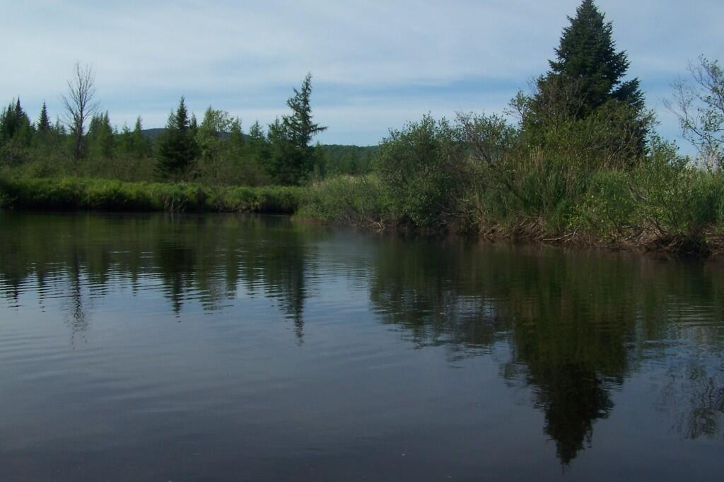 Photo: Reflects