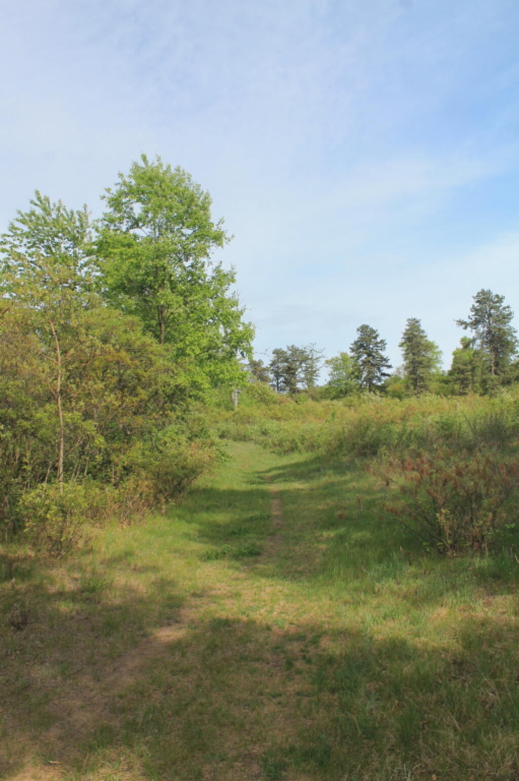 Photo: Heading Up Blueberry Hill Photo: Heading Up Blueberry Hill