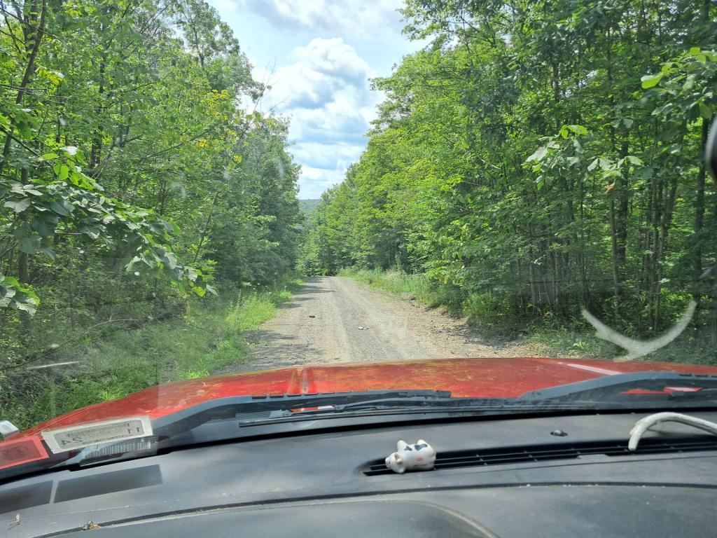 Photo: Woodstock Road