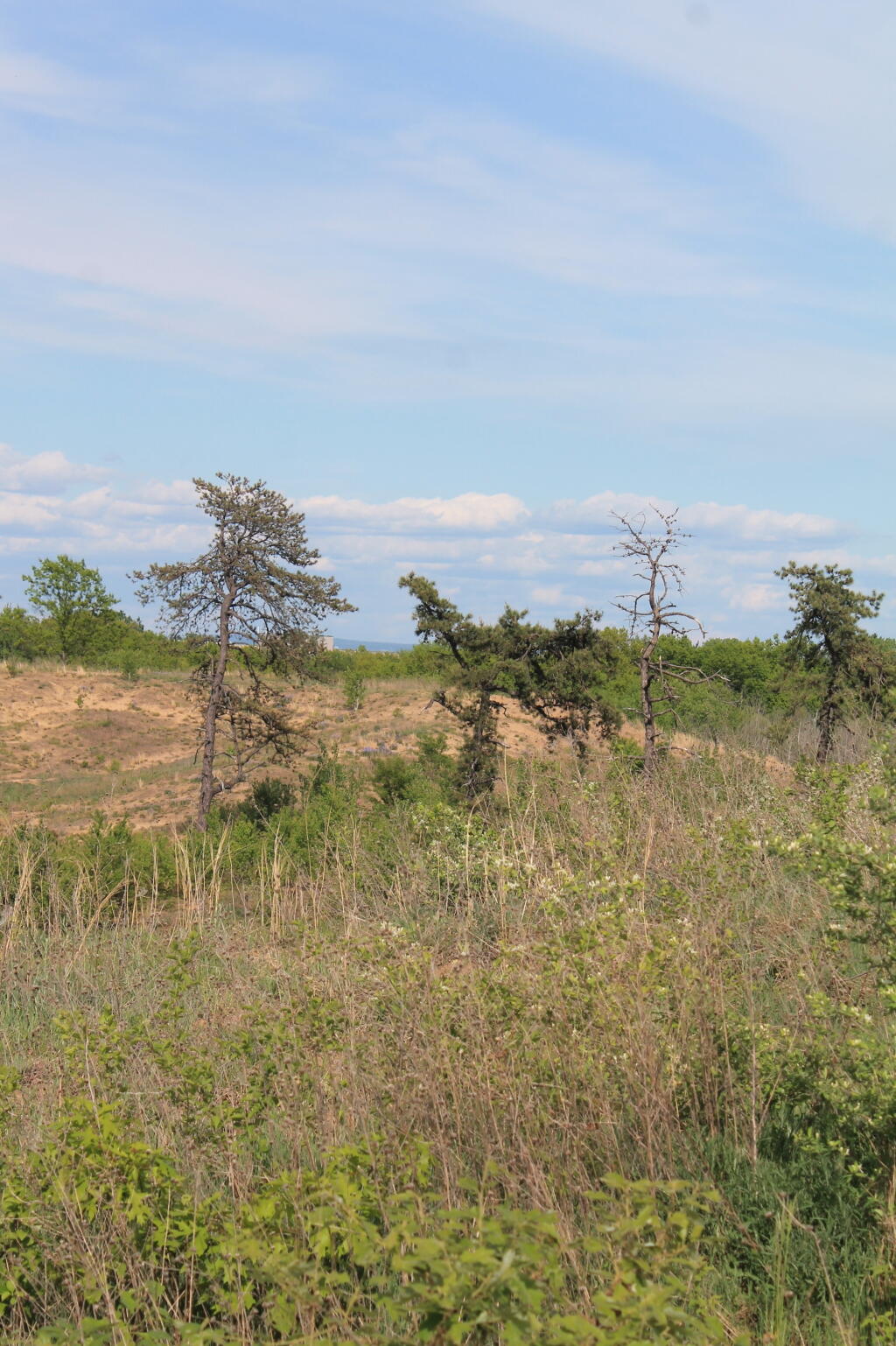 Photo: North-east from Blueberry Hill