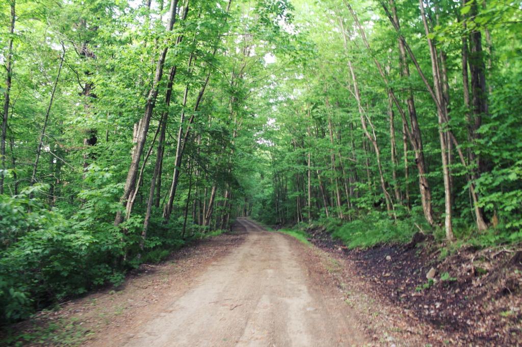 Photo: Open Section of Indian Lake Road