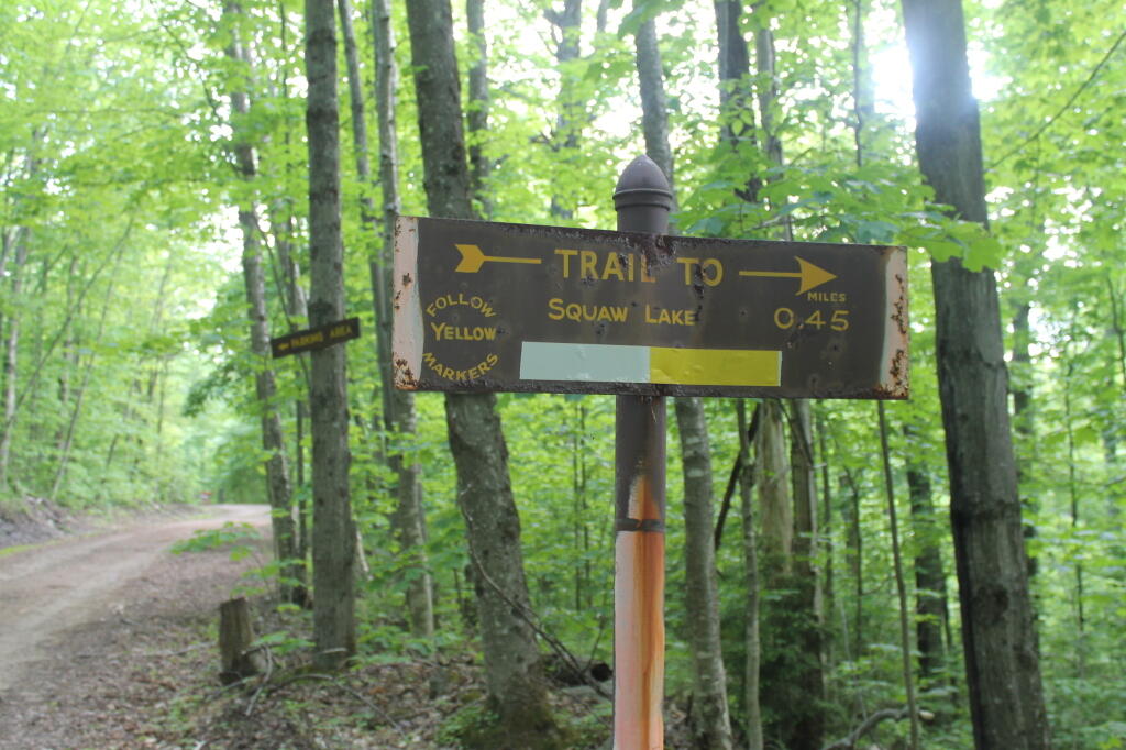 Photo: Trail to Squaw Lake