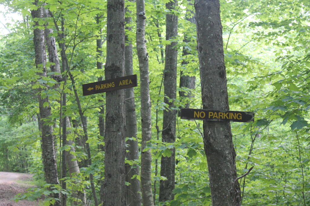Photo: No Parking on Narrow Indian Lake Road
