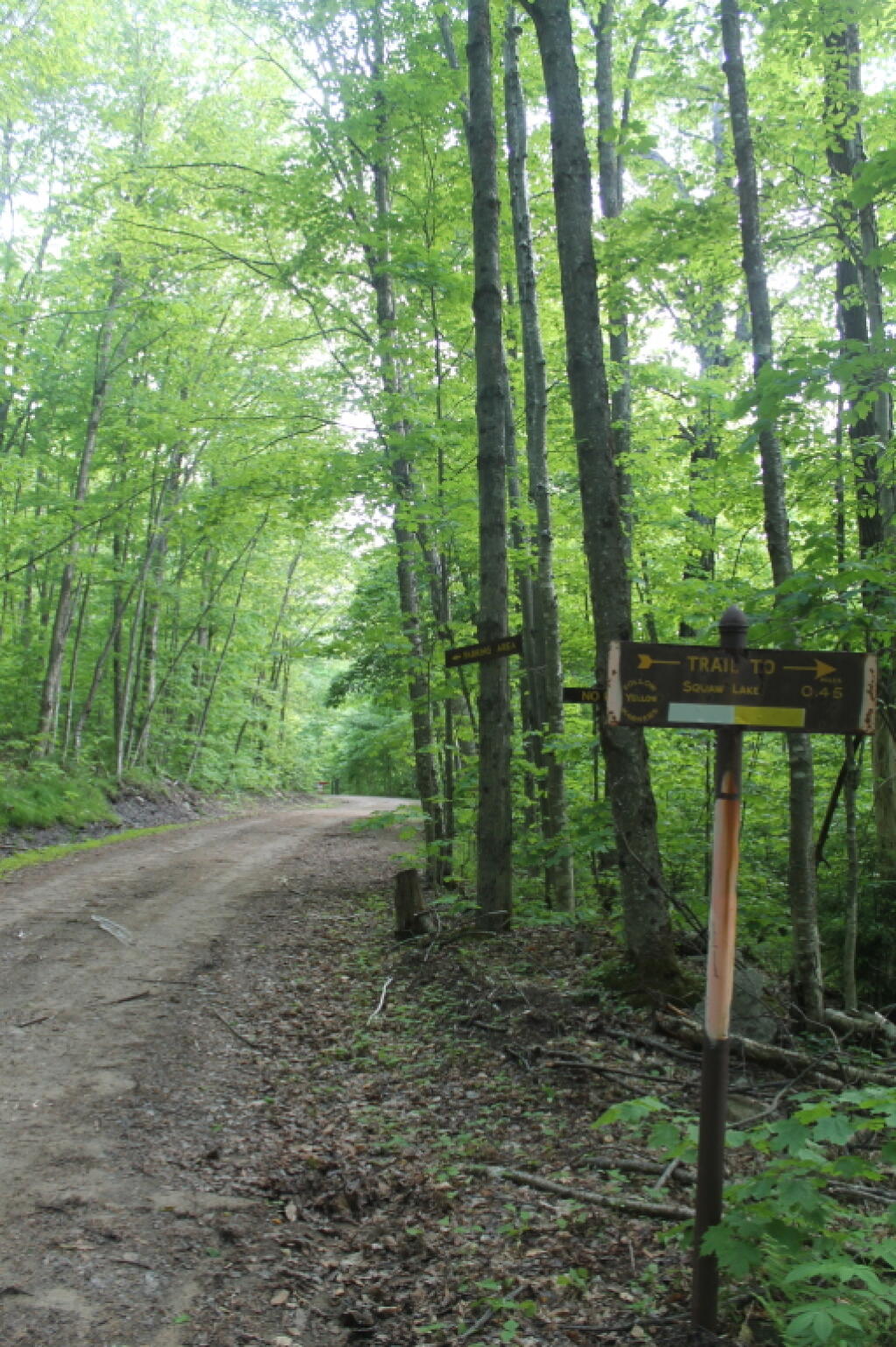 Photo: Indian Lake Road