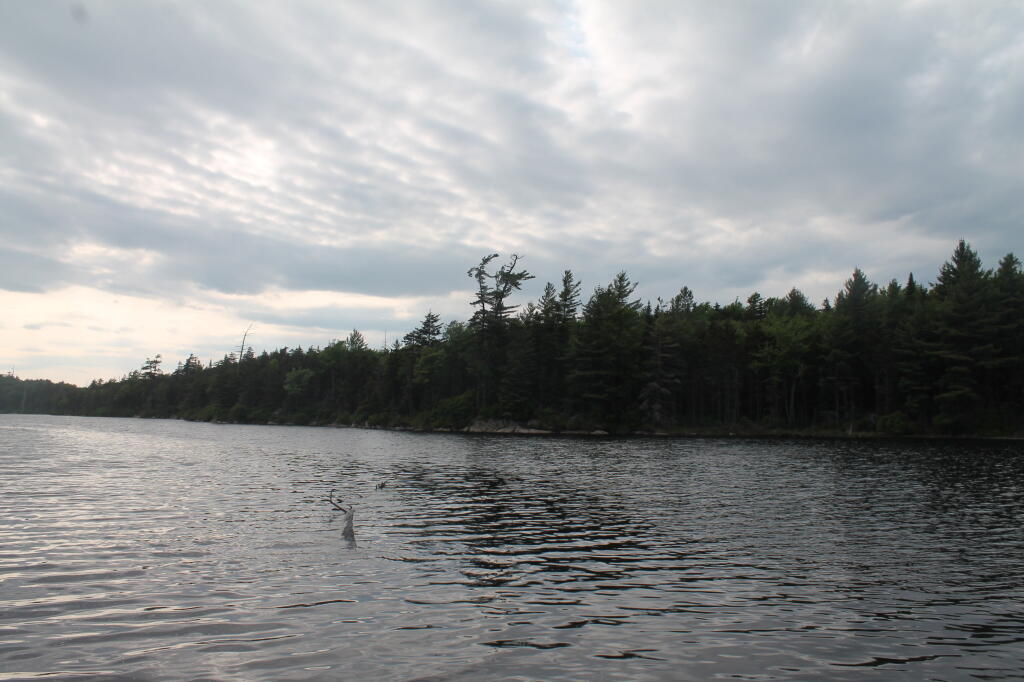 Photo: Squaw Lake