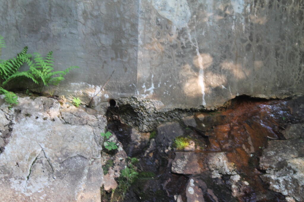 Photo: Cracking Bridge Foundation