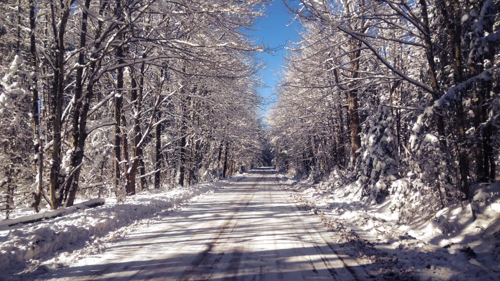 Photo: Winters Day Photo: Winters Day