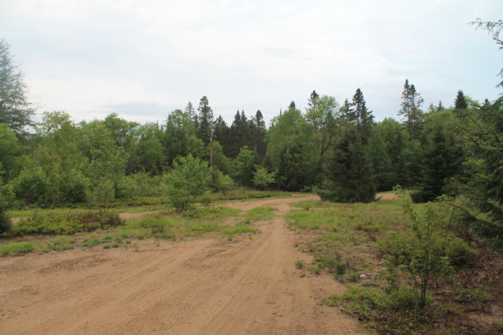 Photo: Old Moose River Plains Dump