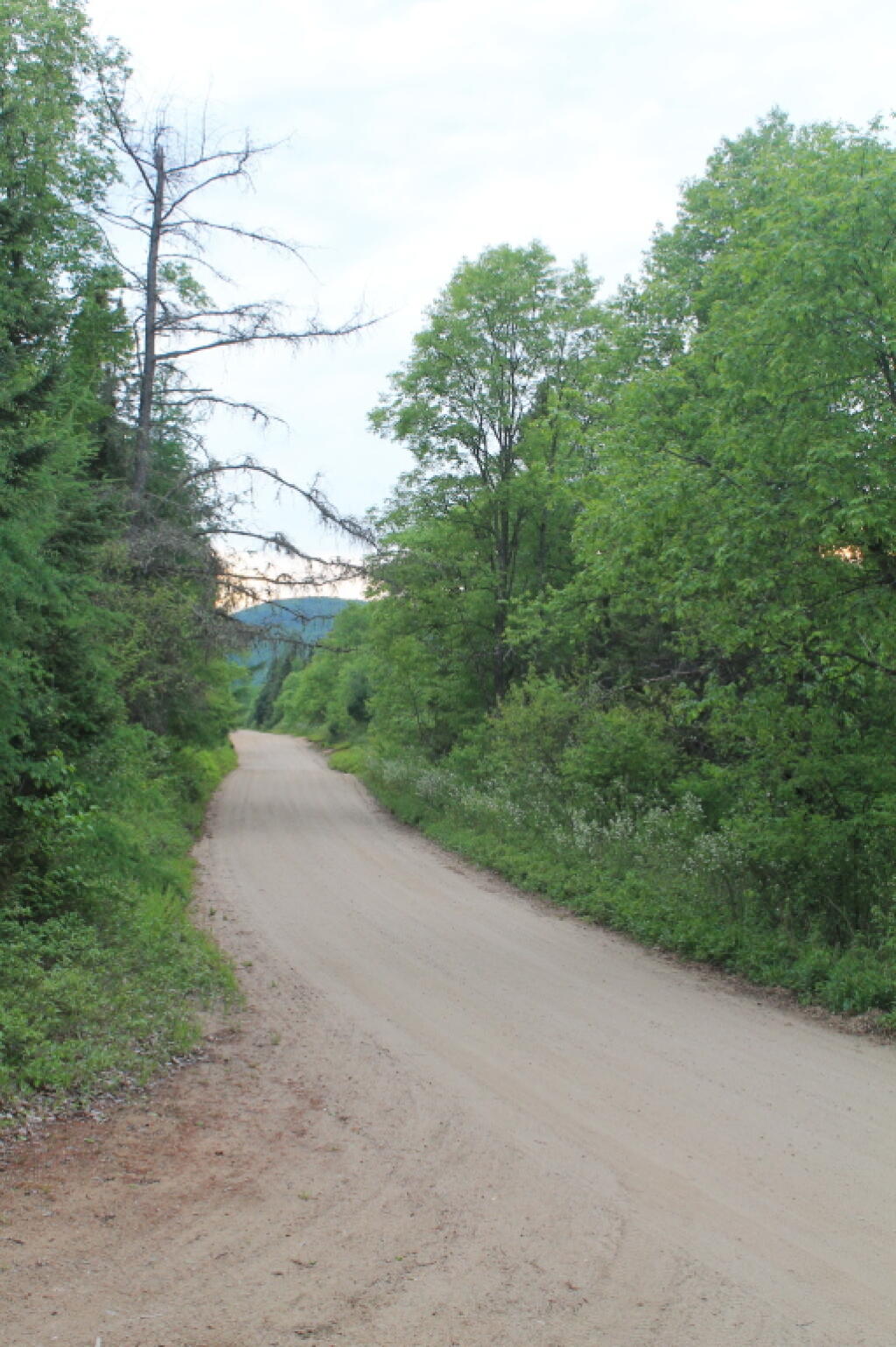 Photo: Moose River Road Photo: Moose River Road