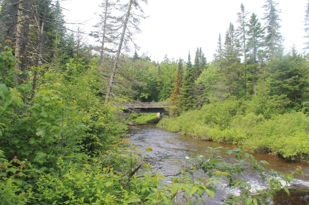 Photo: NY 28 / Boreas River Bridge