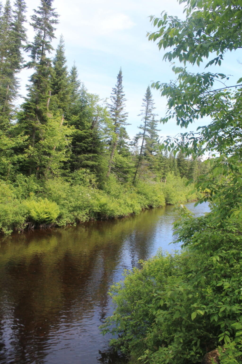 Photo: Boreas River
