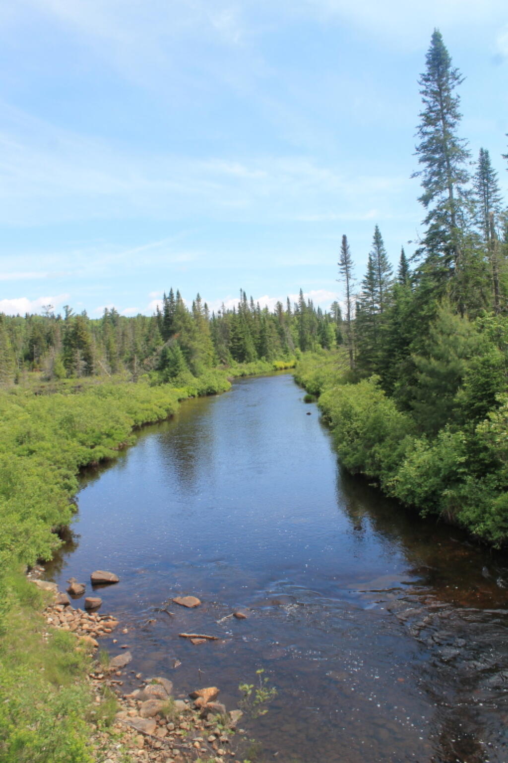 Photo: Boreas River 4