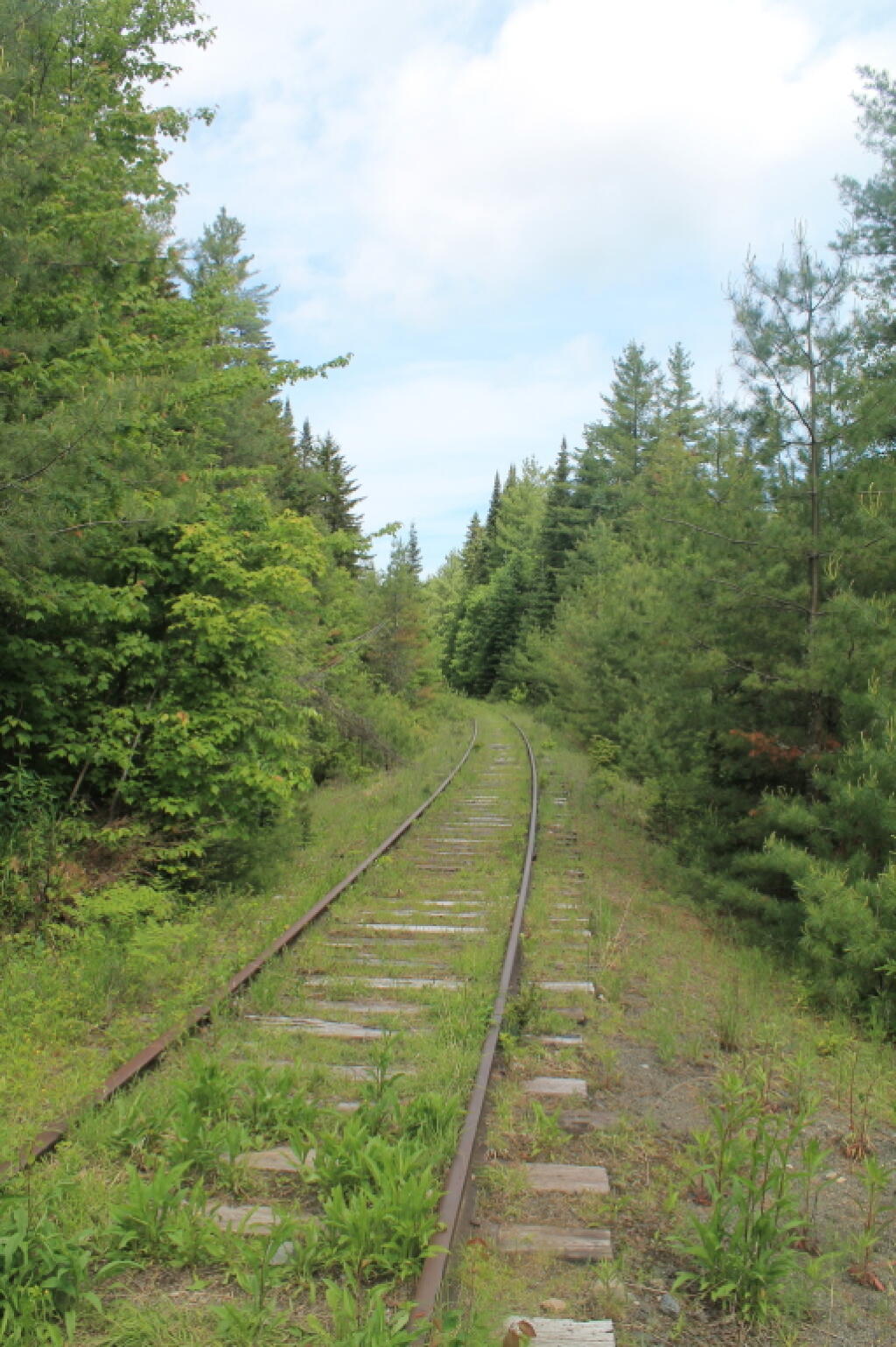 Photo: Tracks