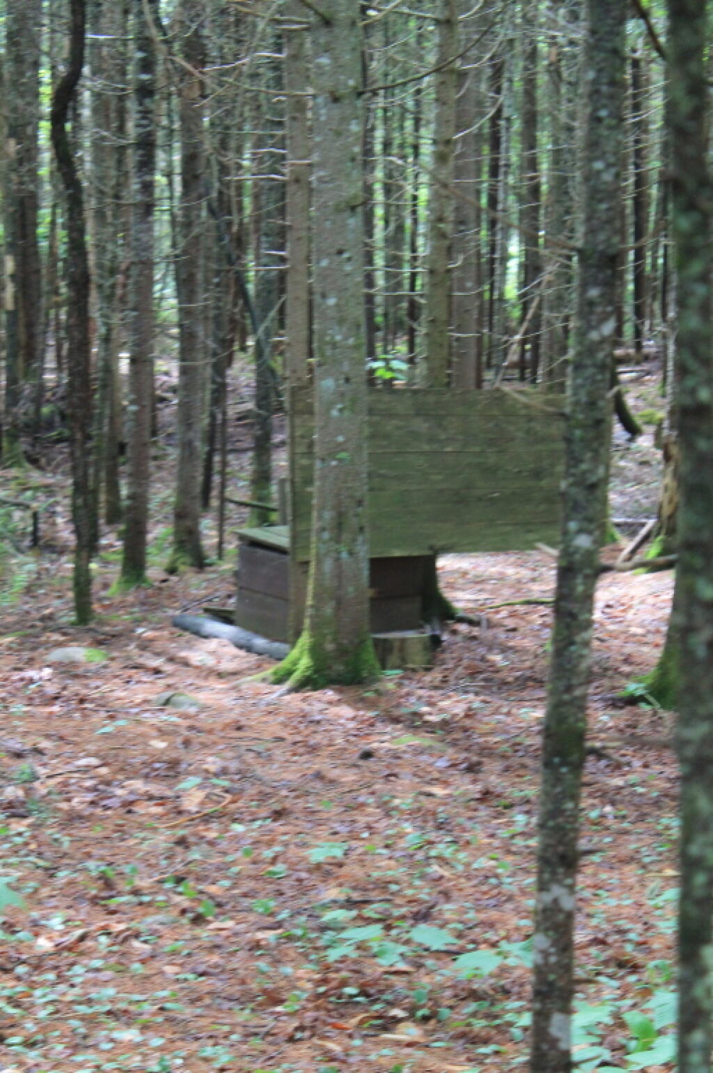 Photo: Outhouse