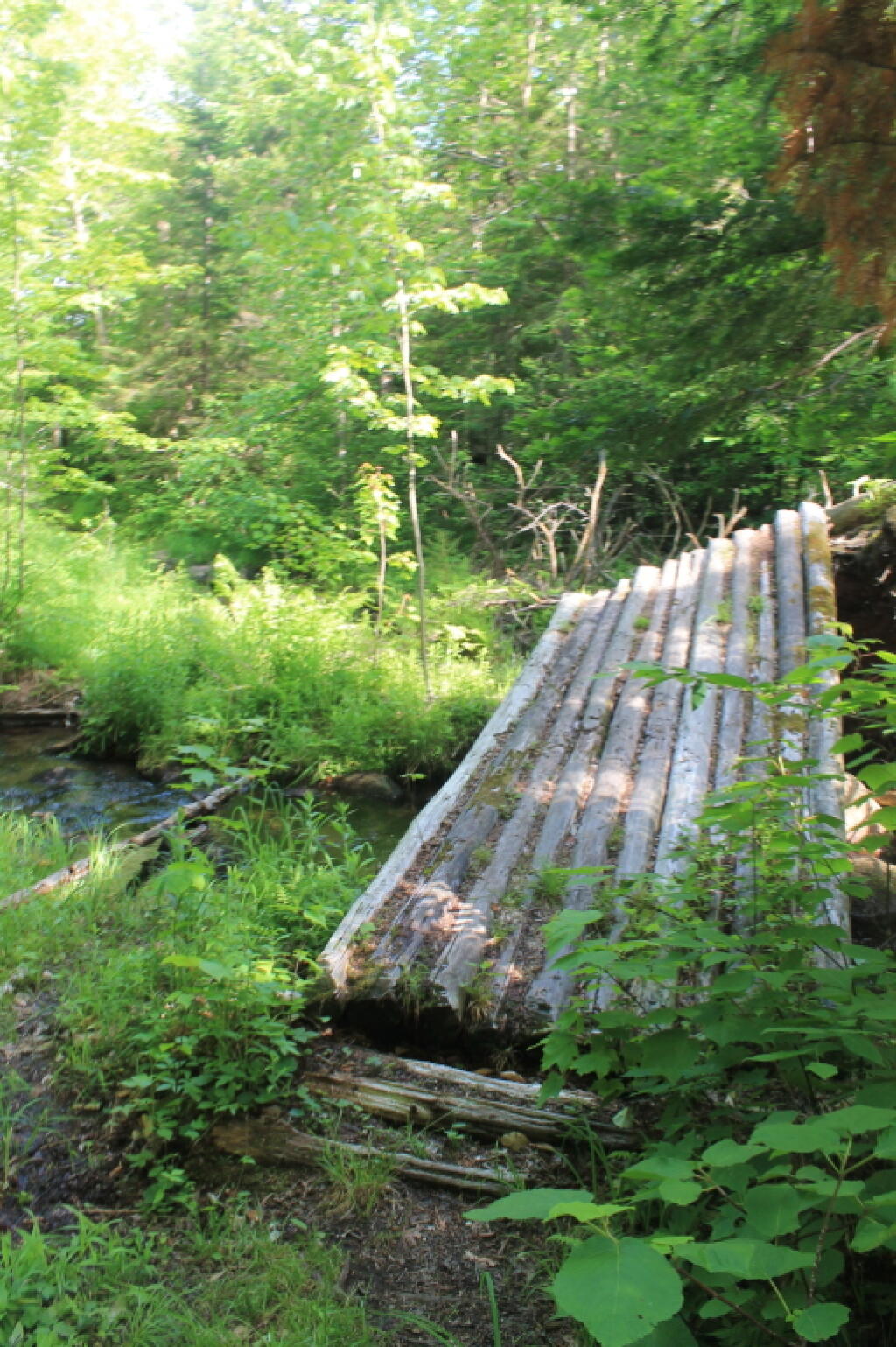 Photo: Broken Bridge