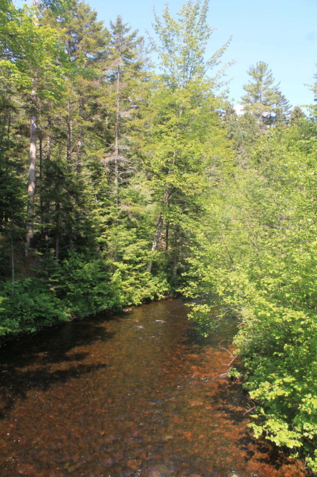 Photo: Vanderwhacker Brook