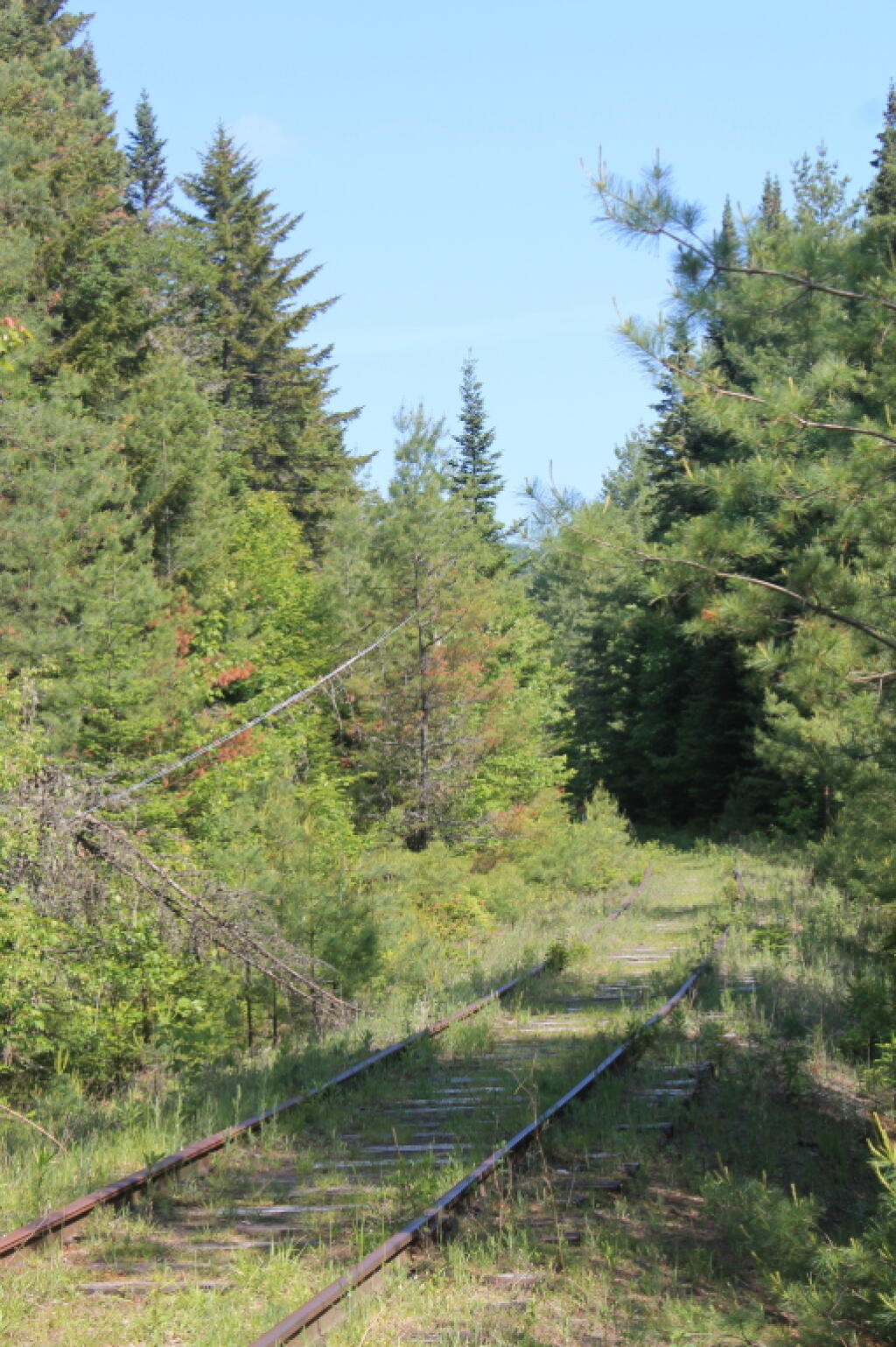 Photo: Tracks