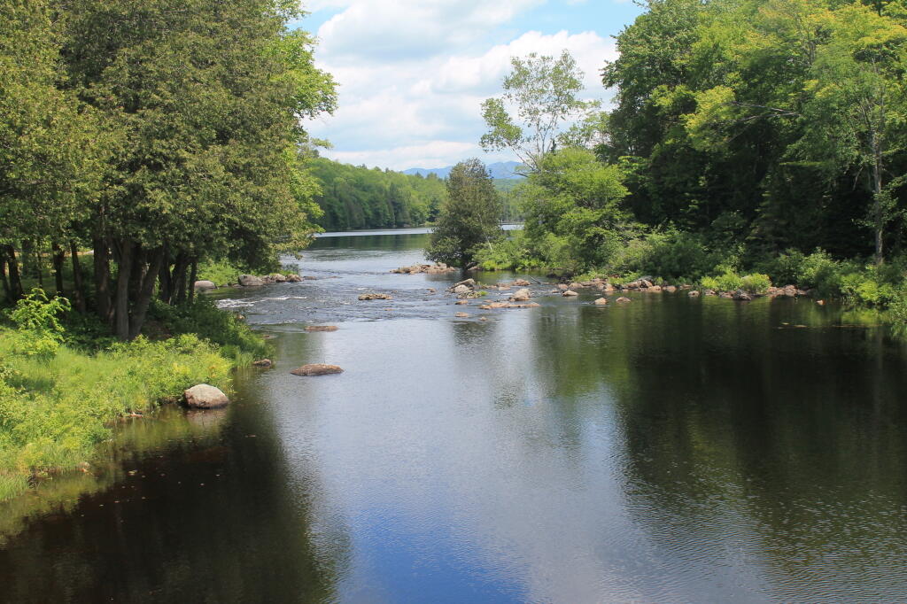 Photo: Inlet to Harris Lake