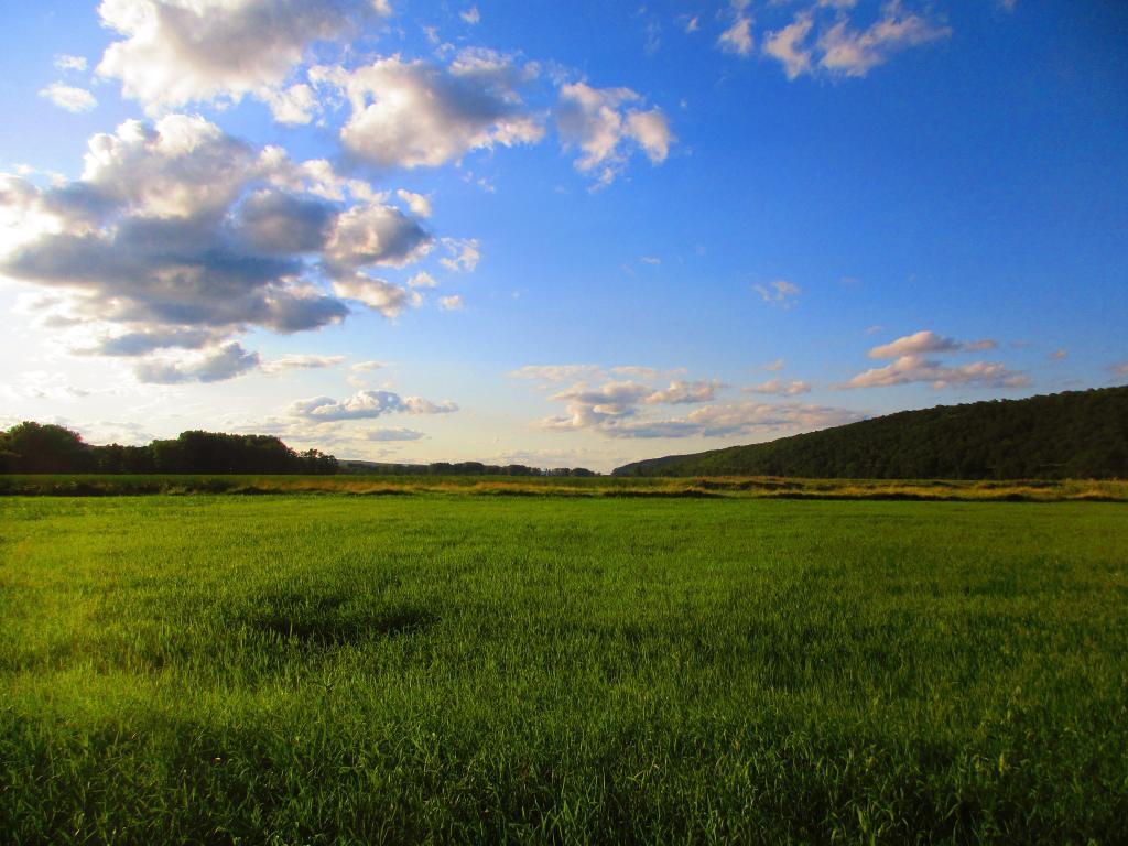 Photo: Evening at Catharine Creek Marsh