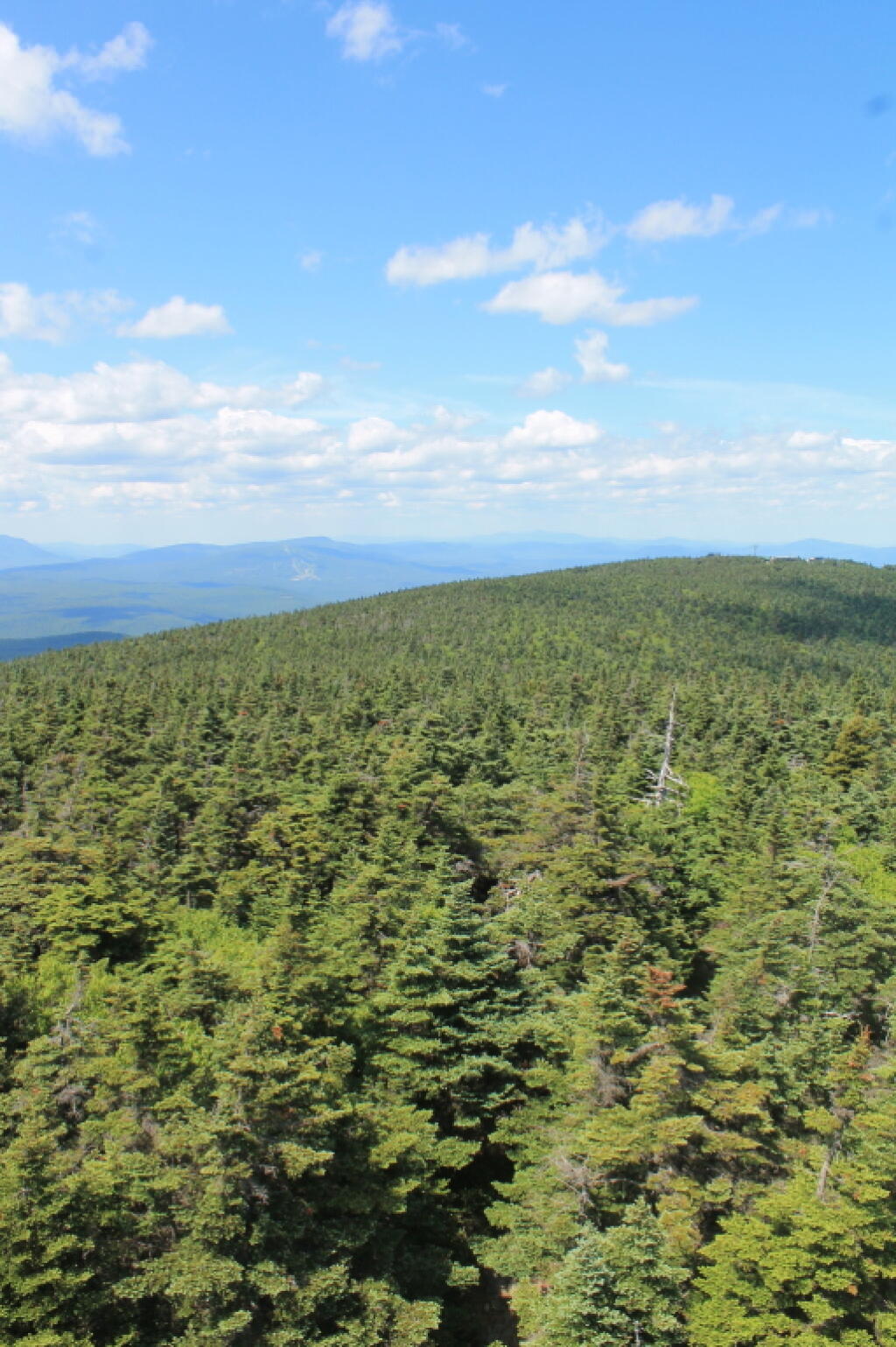 Photo: North Towards Stratton Mountain Ski Resort Photo: North Towards Stratton Mountain Ski Resort