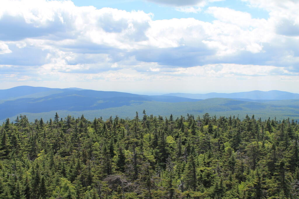 Photo: East Towards NY