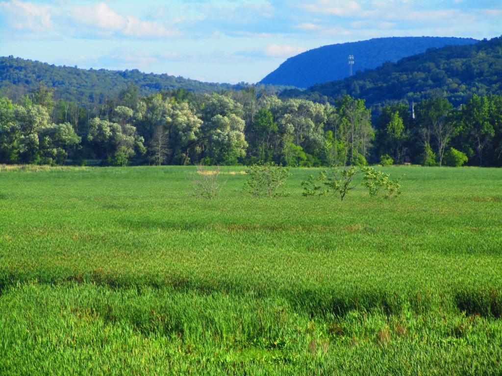 Photo: South Towards Montour Falls