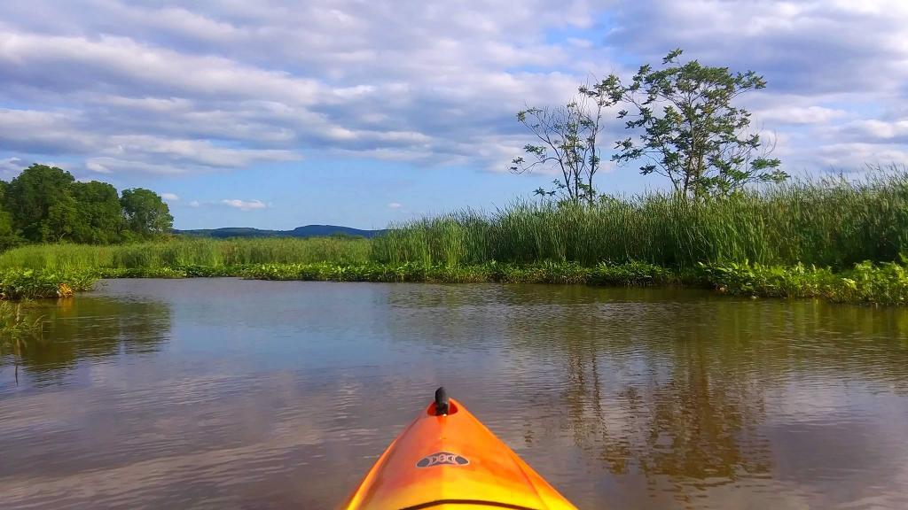 Photo: Paddling on Catharine Creek Marsh Photo: Paddling on Catharine Creek Marsh