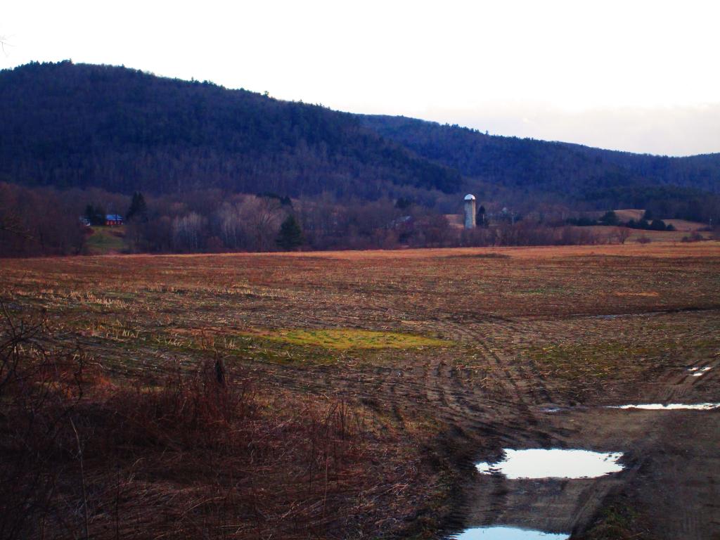 Photo: Field Along the Batten Kill