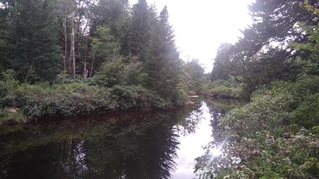 Photo: Jessup River