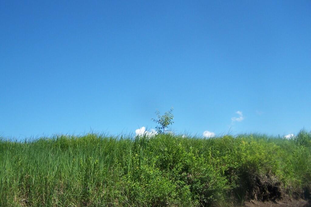Photo: Green and Blue