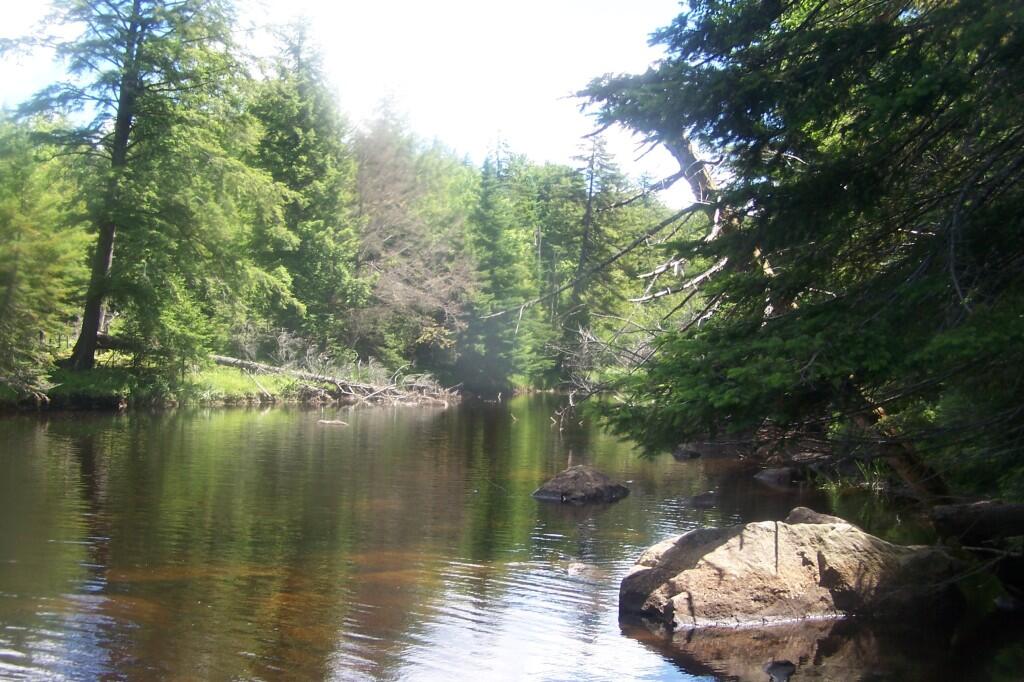 Photo: Pool Below Rapids Photo: Pool Below Rapids