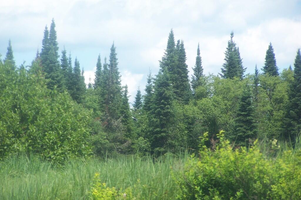 Photo: Powley Place Along Edge of Creek Photo: Powley Place Along Edge of Creek