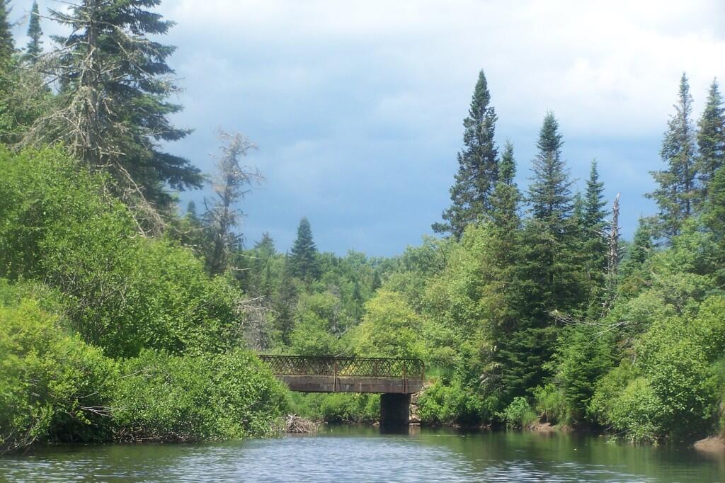 Photo: The Bridge