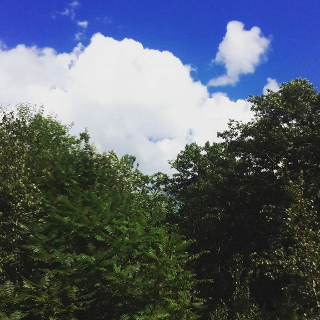 Photo: Sun on a weekend!