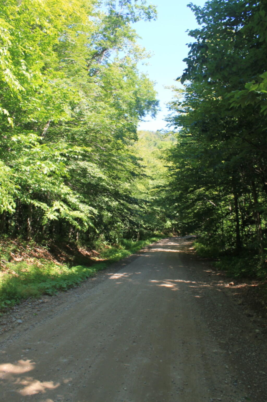 Photo: Piseco-Powley Road