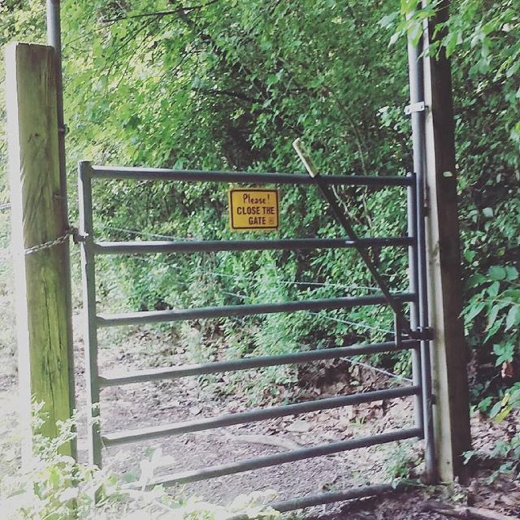 Photo: Be careful where you step in a gated community. Photo: Be careful where you step in a gated community.