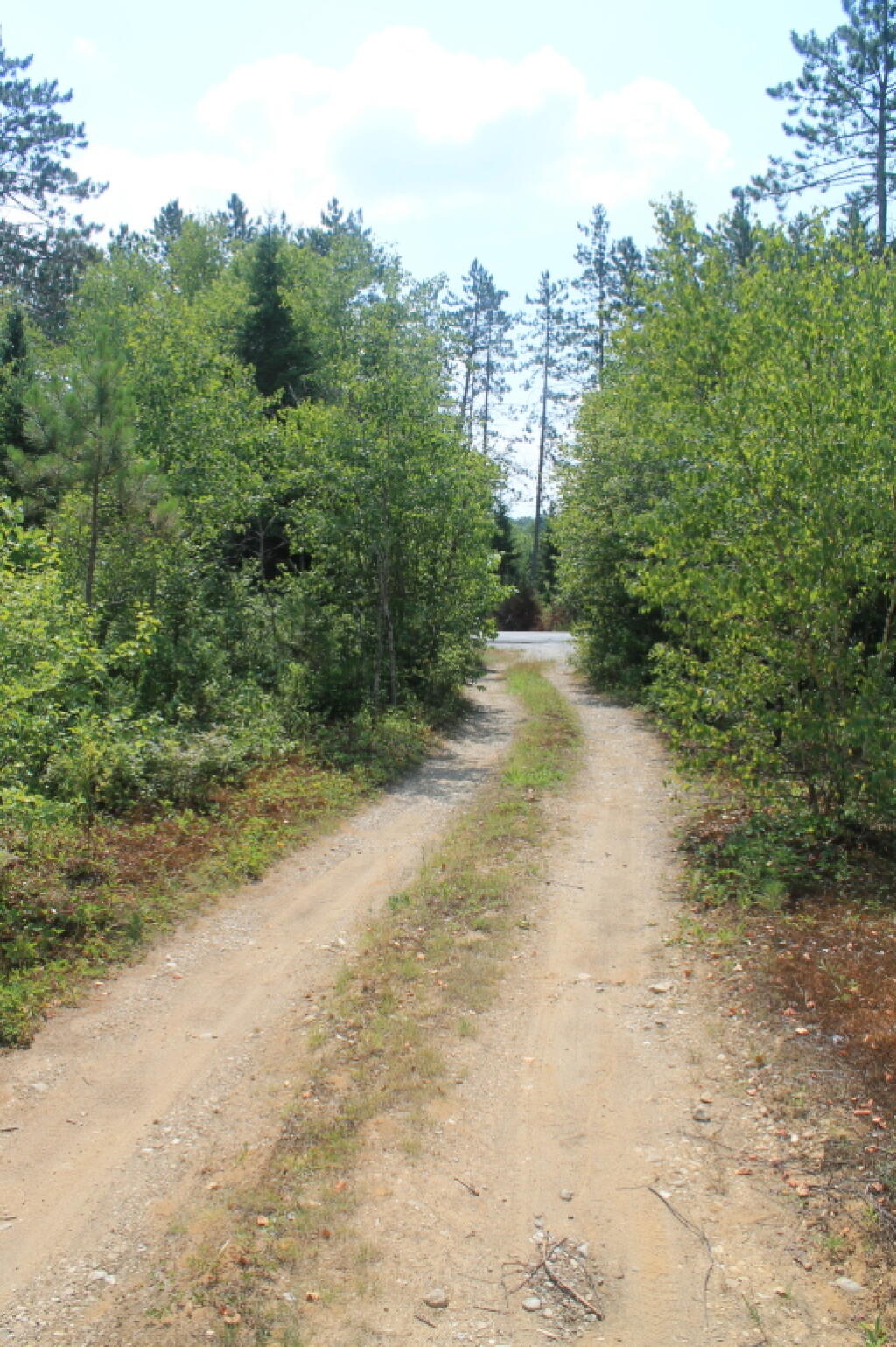 Photo: Driveway Out to NY 8
